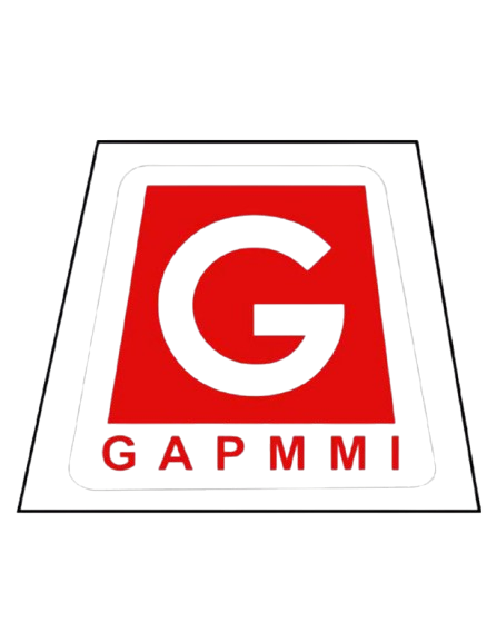 GAPMMI-removebg-preview